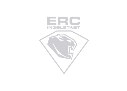 erc_partner_logo